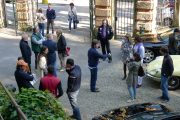 Genova 2011 (48/80)